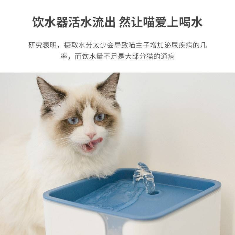 貓貓主子魔方活水機